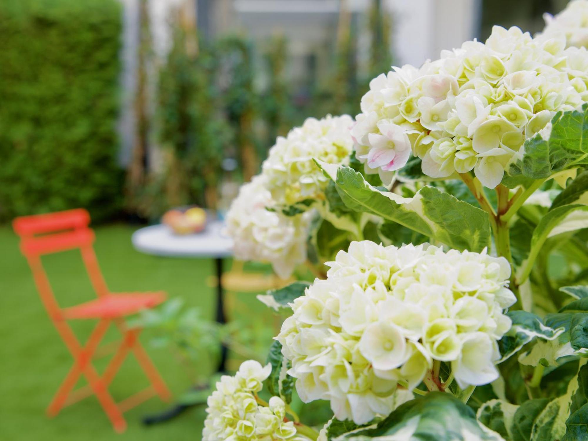 Apartments Les Jardins ฮัมบูร์ก ภายนอก รูปภาพ